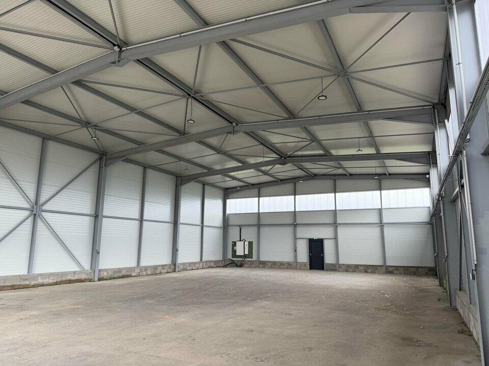 CBRE DESAULLES COLMAR LOCATION-LOCAL D'ACTIVITE-VOLGELSHEIM-68