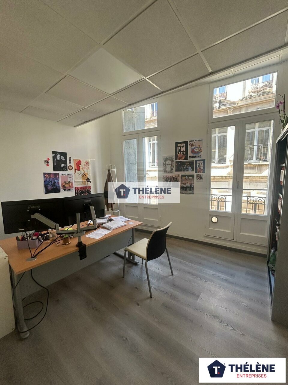 THELENE LOCATION-BUREAUX-MONTPELLIER-34
