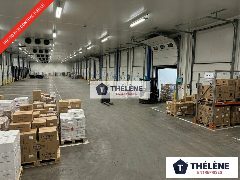 THELENE VENTE-LOCAL D'ACTIVITE-VENDARGUES-34