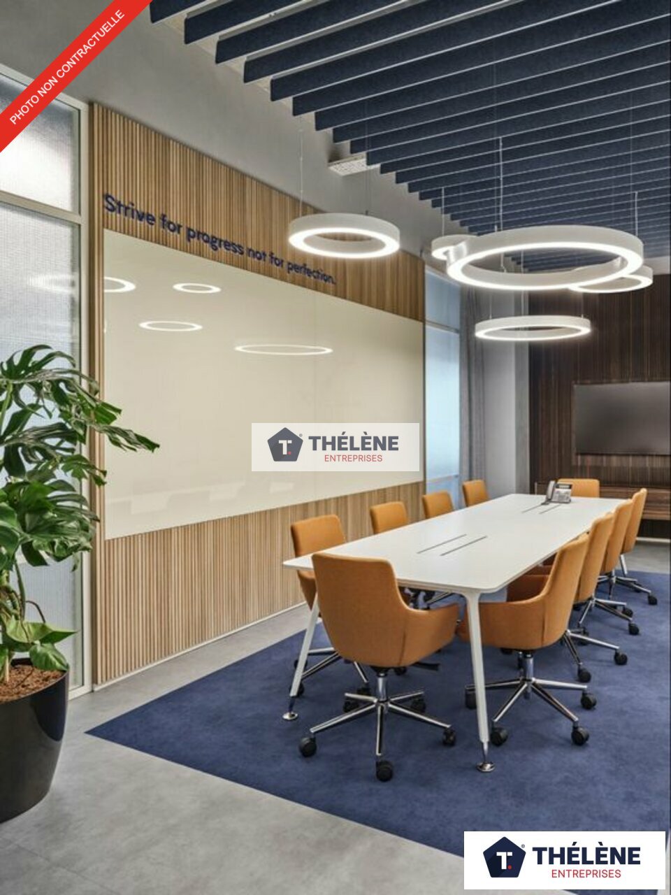 THELENE LOCATION-BUREAUX-VENDARGUES-34