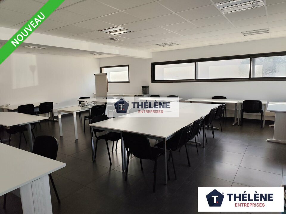 THELENE LOCATION-BUREAUX-JUVIGNAC-34