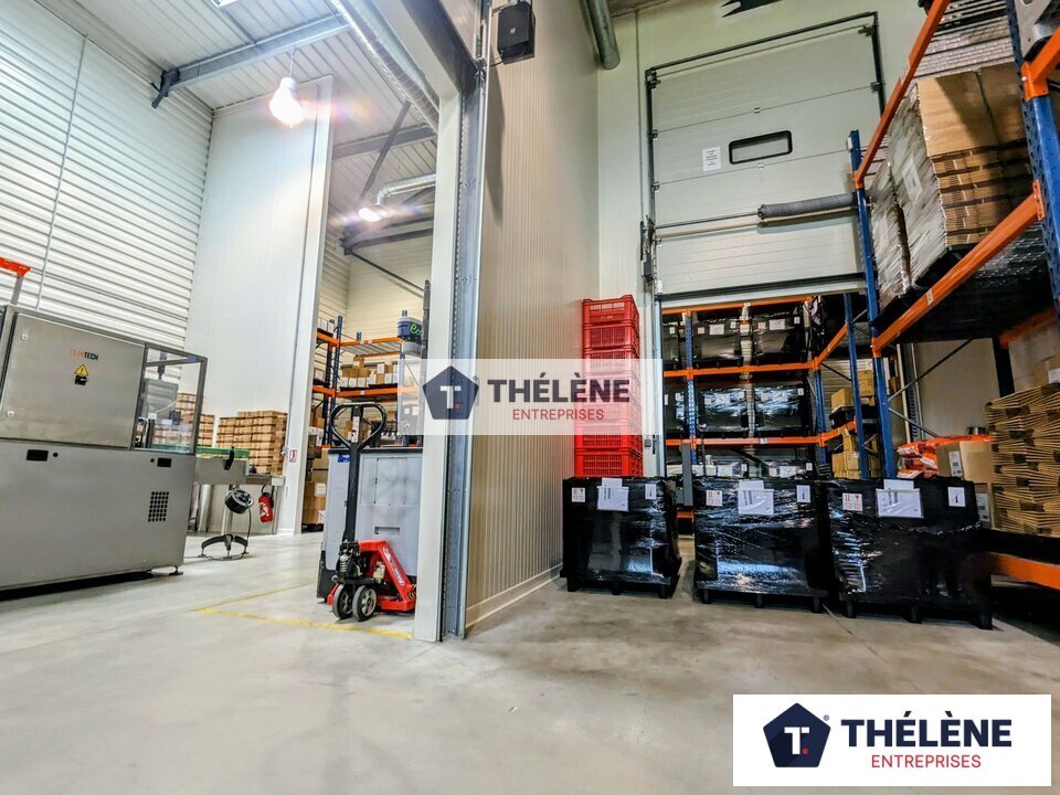 THELENE LOCATION-LOCAL D'ACTIVITE-VENDARGUES-34