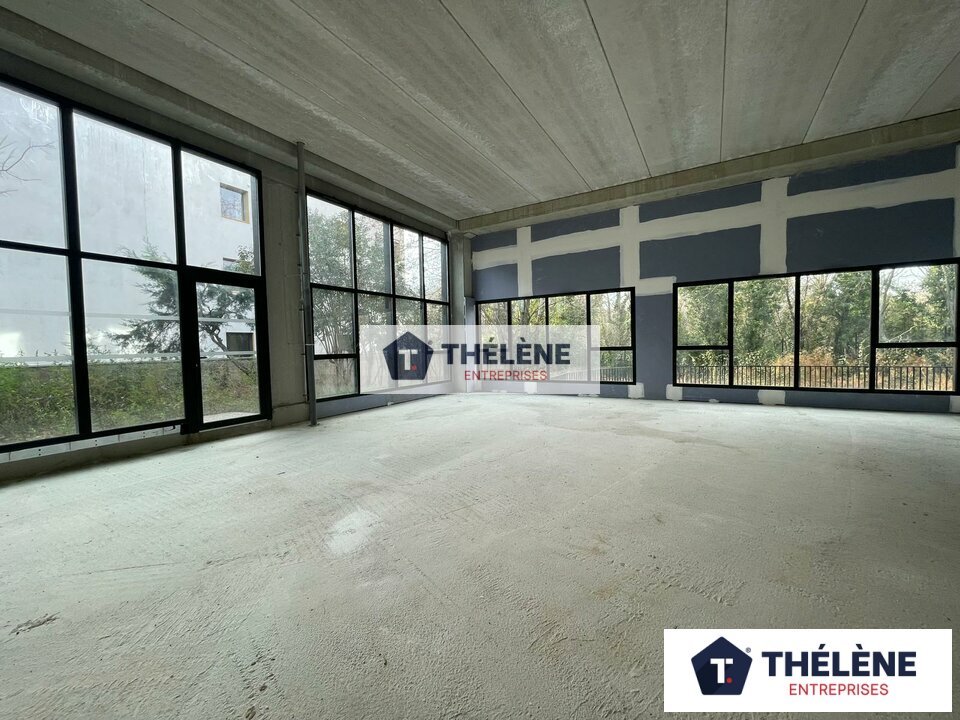 THELENE LOCATION-BUREAUX-MONTPELLIER-34