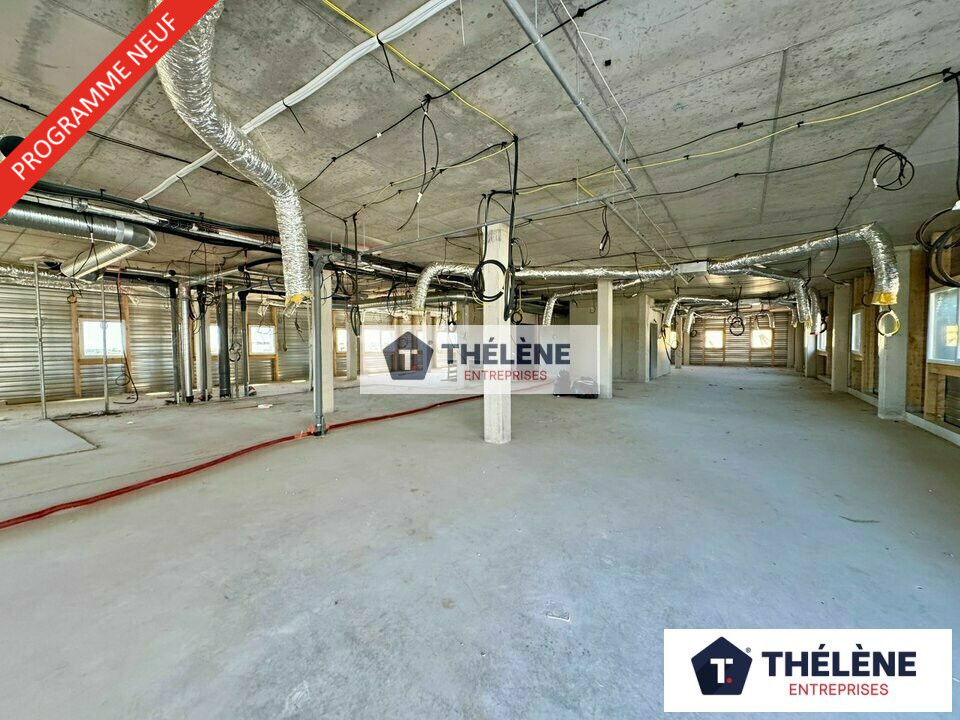 THELENE VENTE-LOCAL D'ACTIVITE-VILLENEUVE_LES_MAGUELONE-34