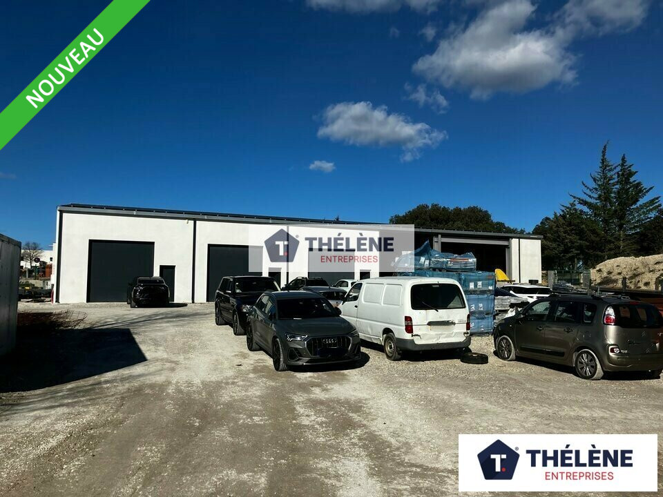 THELENE LOCATION-LOCAL D'ACTIVITE-SAUVE-30