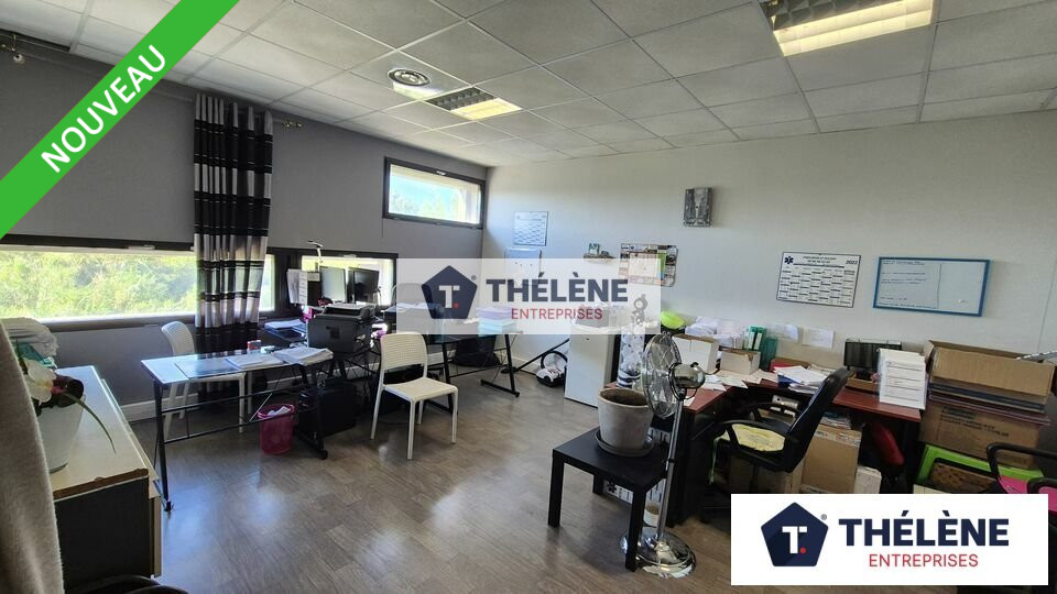THELENE LOCATION-BUREAUX-MONTPELLIER-34