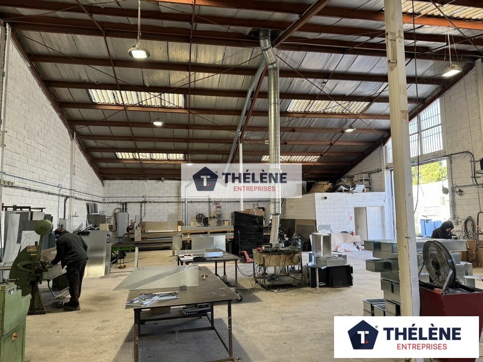 THELENE LOCATION-LOCAL D'ACTIVITE-MONTPELLIER-34
