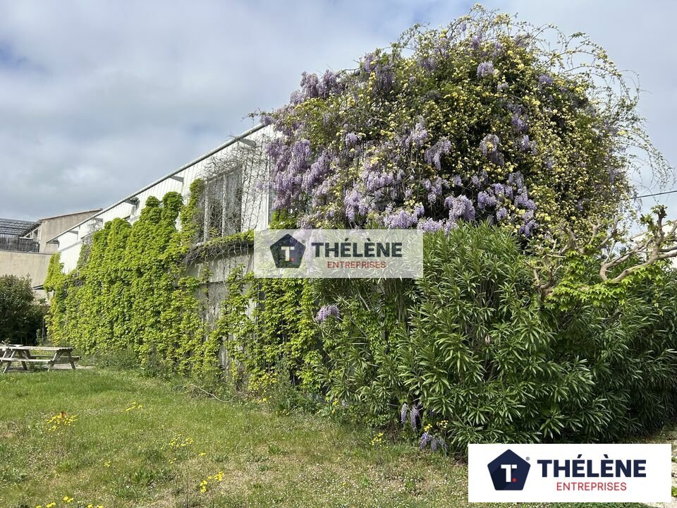THELENE VENTE-BUREAUX-LUNEL-34