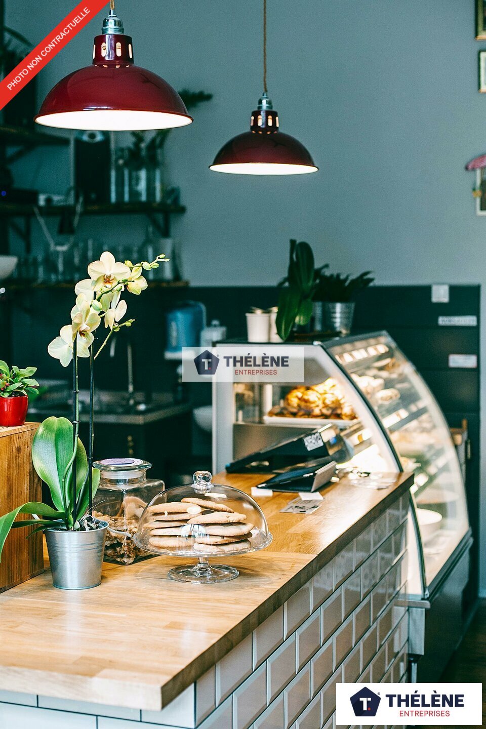 THELENE VENTE-LOCAL COMMERCIAL-LATTES-34