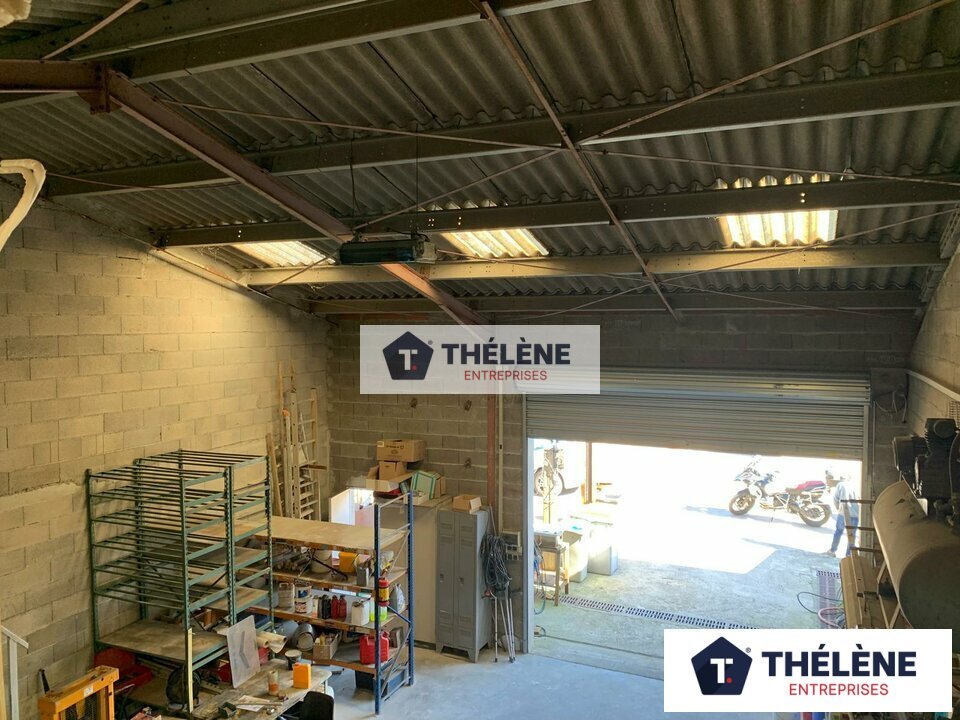 THELENE LOCATION-LOCAL D'ACTIVITE-CASTELNAU_LE_LEZ-34