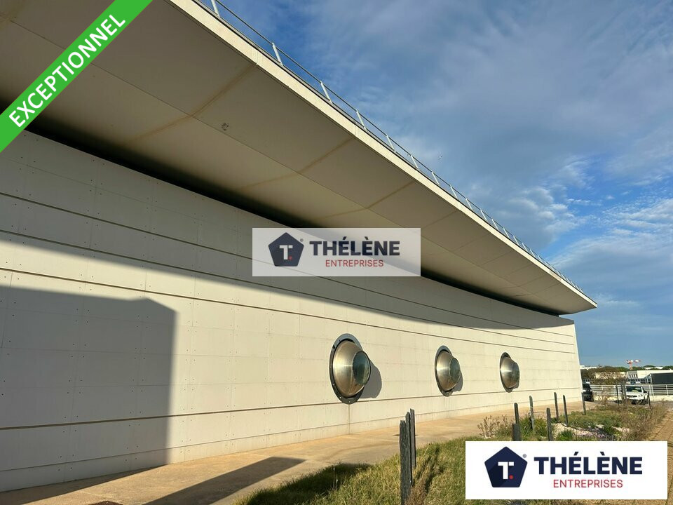 THELENE VENTE-LOCAL D'ACTIVITE-MONTPELLIER-34