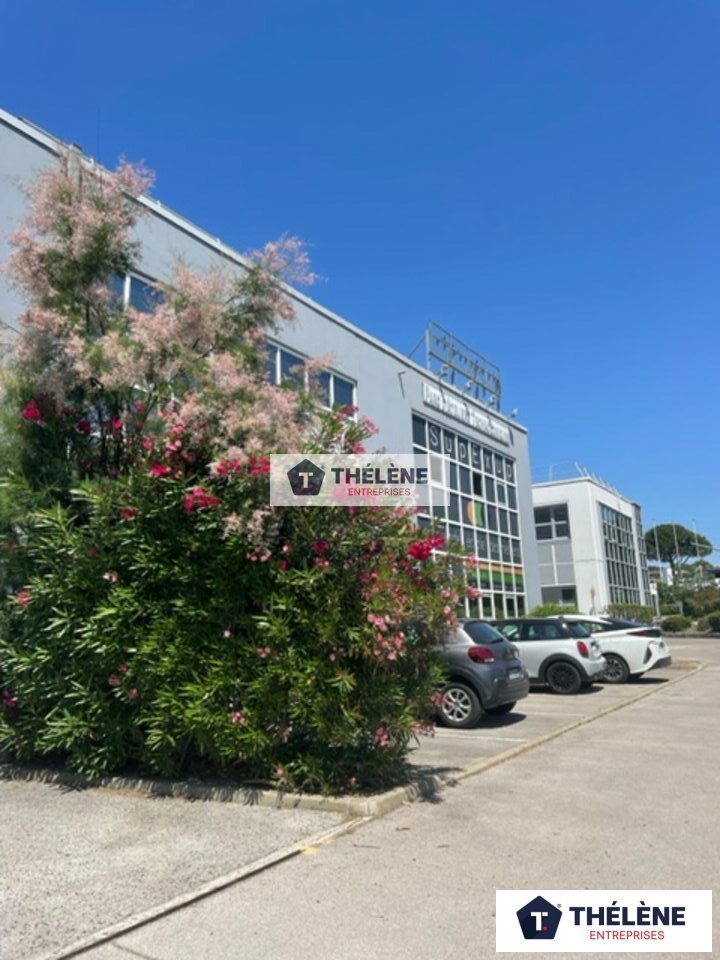 THELENE LOCATION-BUREAUX-MONTPELLIER-34