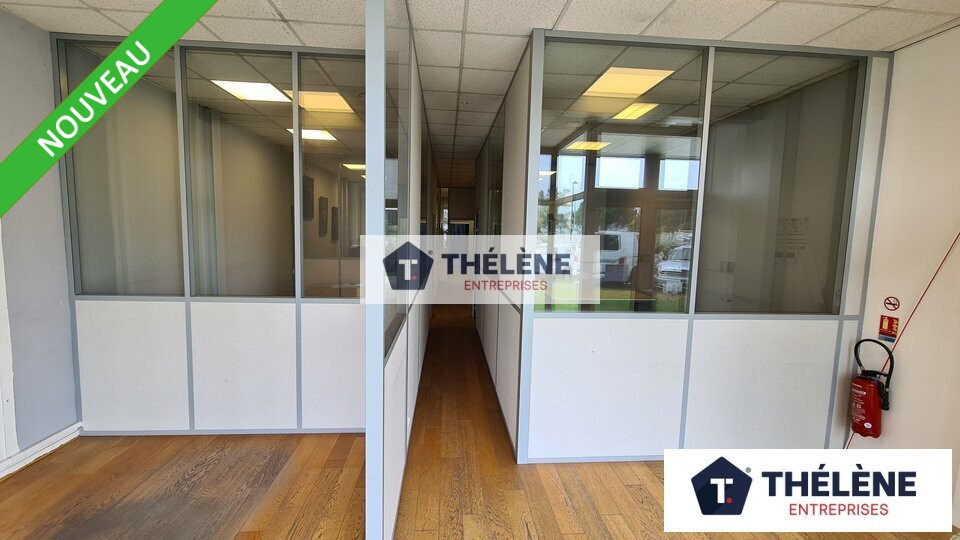 THELENE LOCATION-LOCAL D'ACTIVITE-MAUGUIO-34