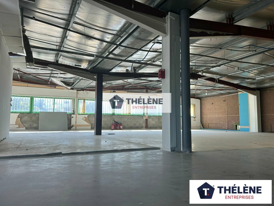 THELENE VENTE-IMMEUBLE-MONTPELLIER-34