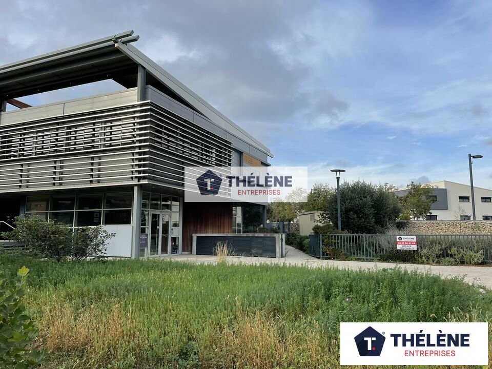 THELENE LOCATION-BUREAUX-CASTRIES-34