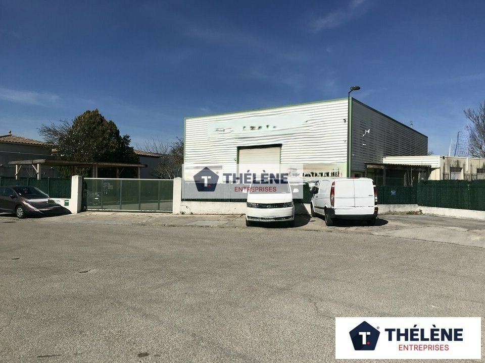 THELENE LOCATION-BUREAUX-MONTFERRIER_SUR_LEZ-34