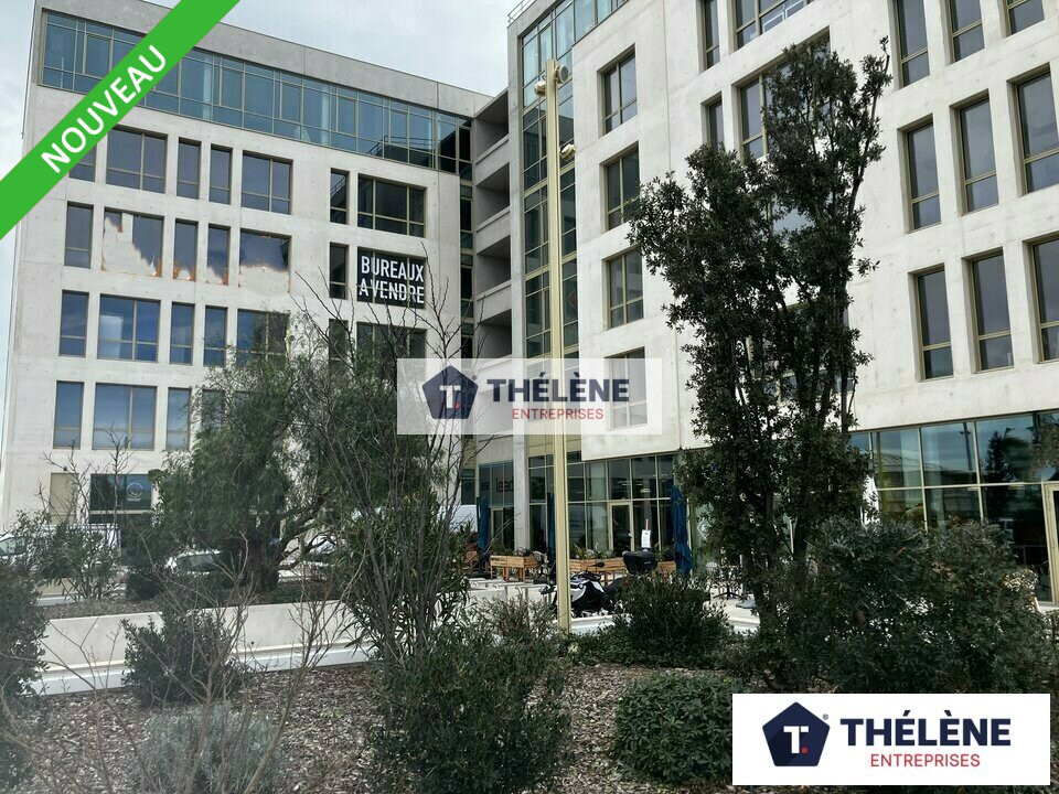 THELENE LOCATION-BUREAUX-MONTPELLIER-34