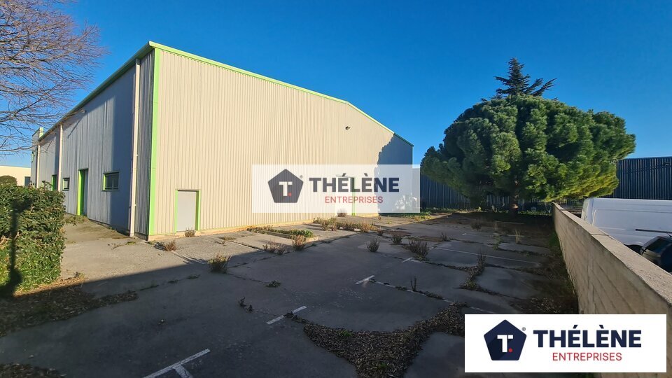 THELENE VENTE-LOCAL D'ACTIVITE-MAUGUIO-34