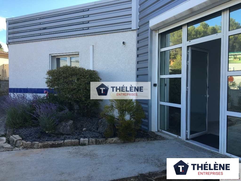 THELENE LOCATION-BUREAUX-MONTFERRIER_SUR_LEZ-34