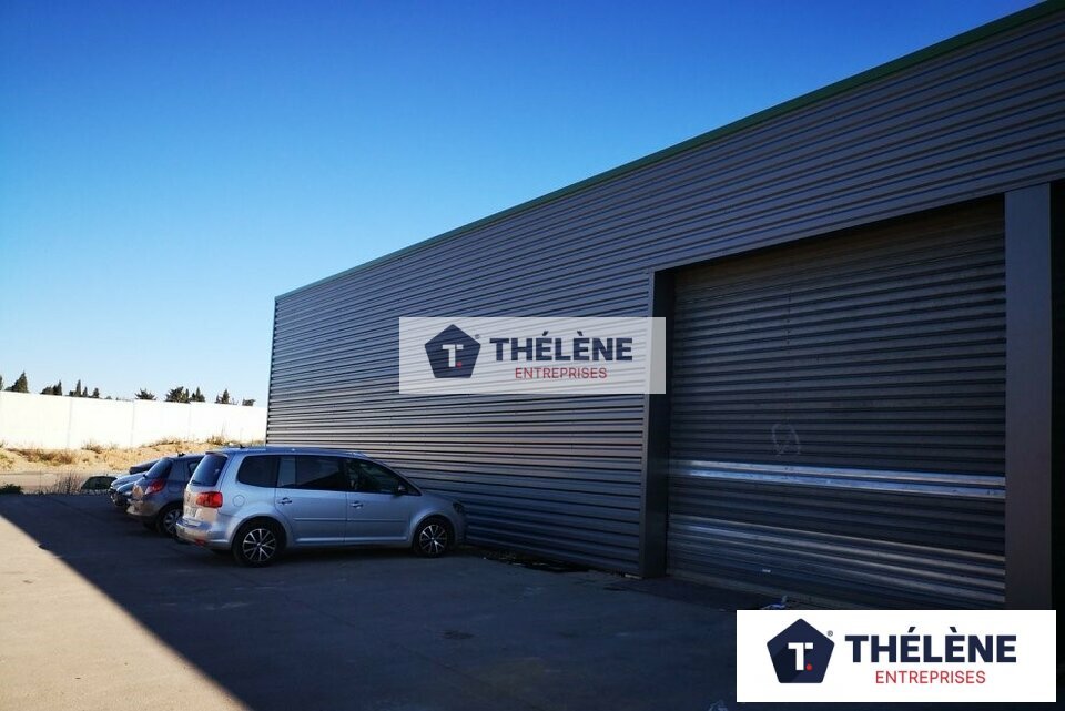 THELENE LOCATION-LOCAL D'ACTIVITE-SAINT_JEAN_DE_VEDAS-34