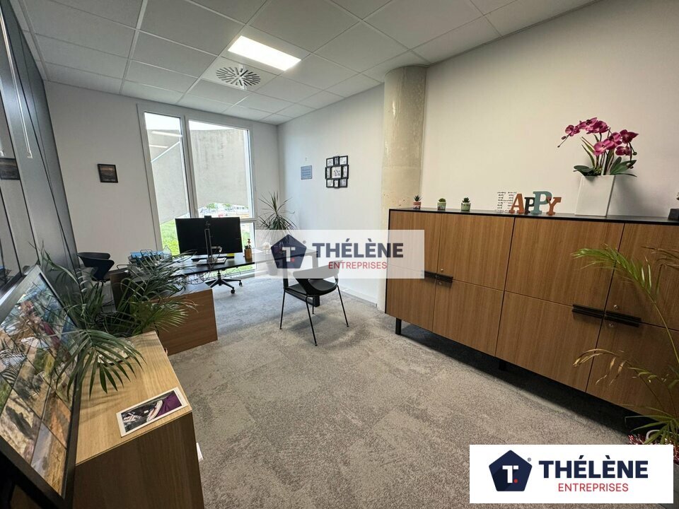 THELENE LOCATION-BUREAUX-CASTELNAU_LE_LEZ-34