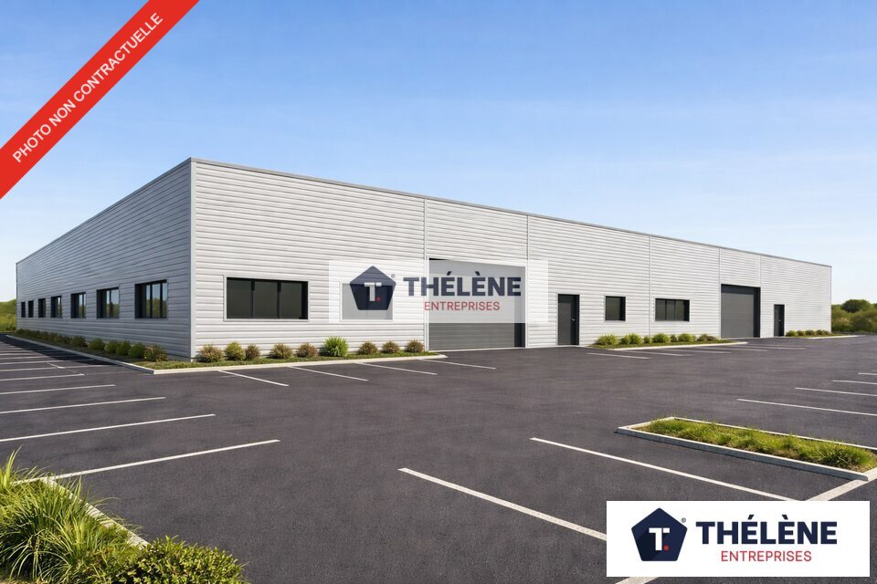 THELENE LOCATION-LOCAL D'ACTIVITE-PEROLS-34