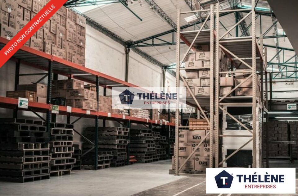 THELENE LOCATION-LOCAL D'ACTIVITE-VENDARGUES-34