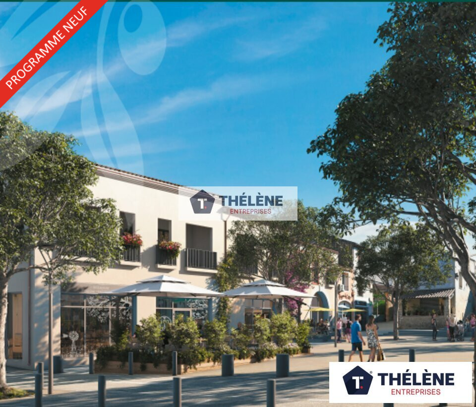 THELENE VENTE-LOCAL COMMERCIAL-CASTRIES-34