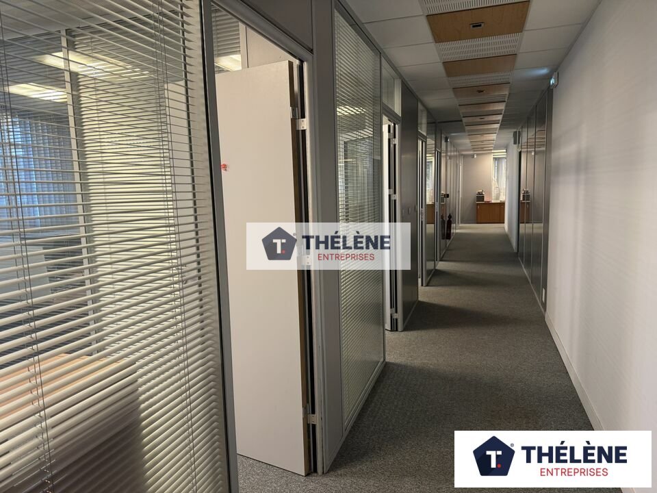 THELENE LOCATION-BUREAUX-CASTELNAU_LE_LEZ-34