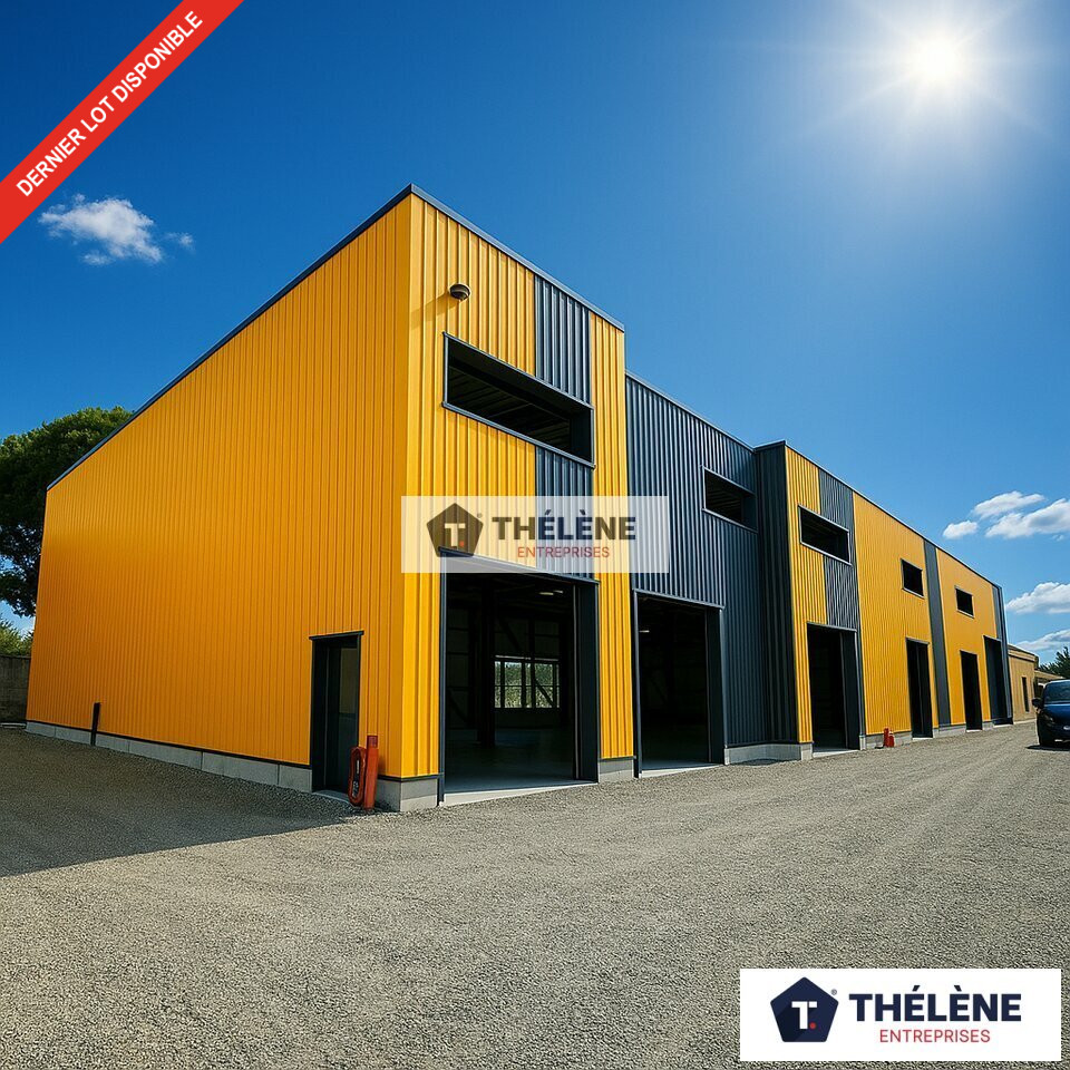 THELENE VENTE-LOCAL D'ACTIVITE-LUNEL-34