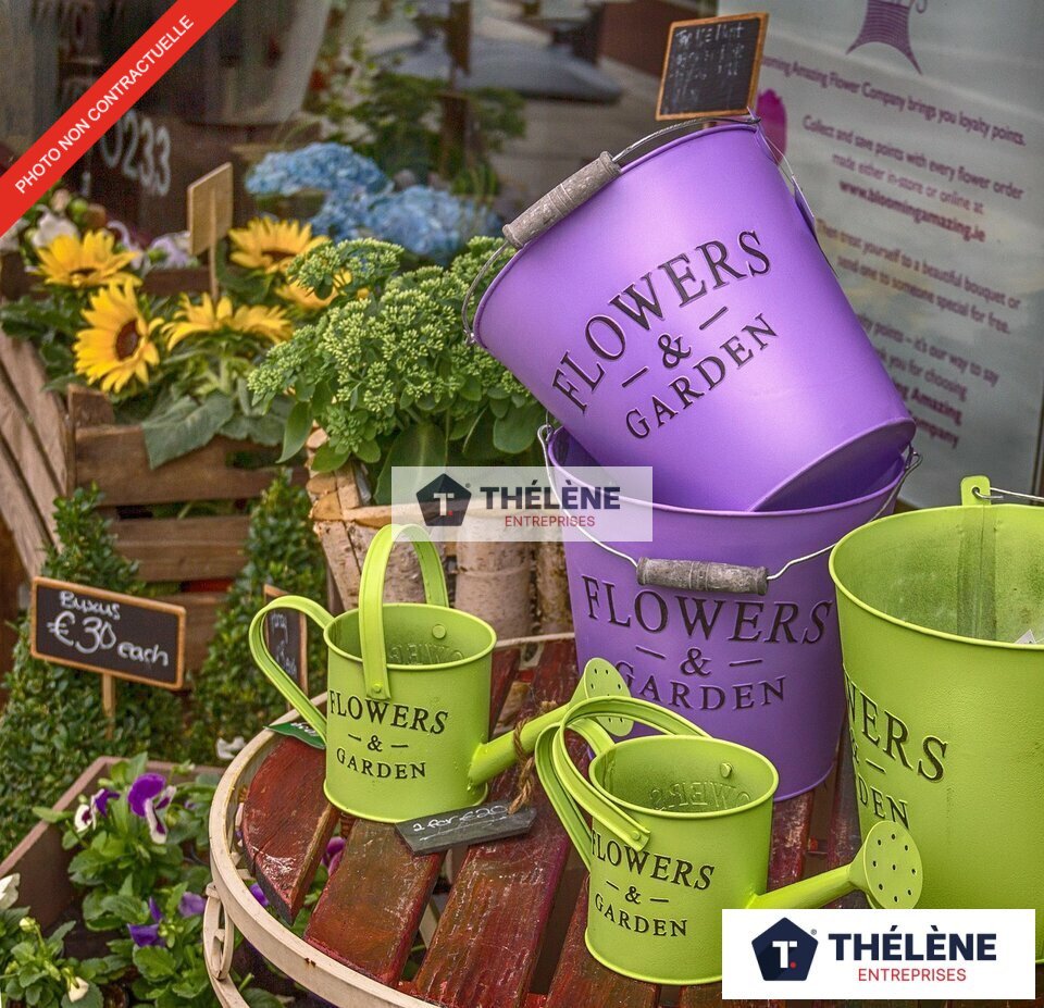 THELENE VENTE-FONDS DE COMMERCE-MONTPELLIER-34