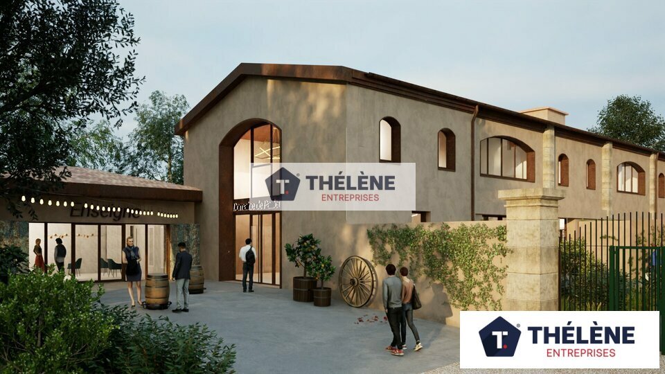 THELENE LOCATION-LOCAL COMMERCIAL-PEROLS-34