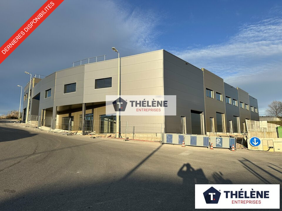 THELENE VENTE-LOCAL D'ACTIVITE-GIGEAN-34