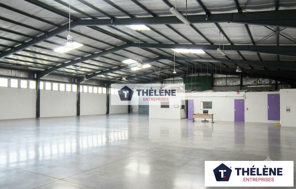 THELENE LOCATION-LOCAL D'ACTIVITE-MONTPELLIER-34