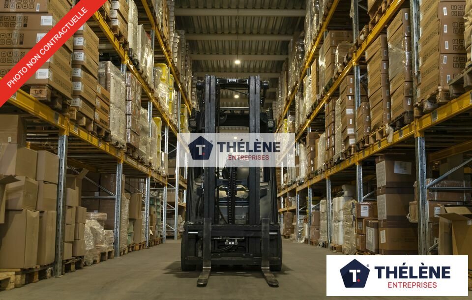 THELENE LOCATION-LOCAL D'ACTIVITE-VAUVERT-30