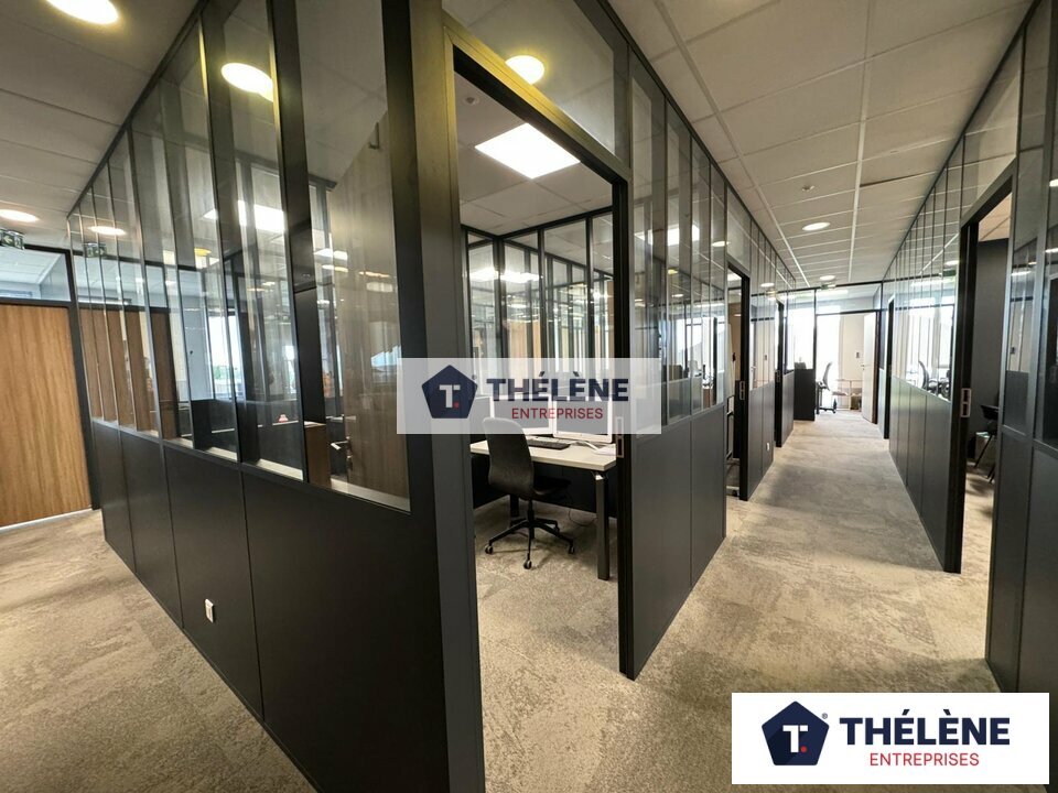 THELENE VENTE-BUREAUX-CASTELNAU_LE_LEZ-34