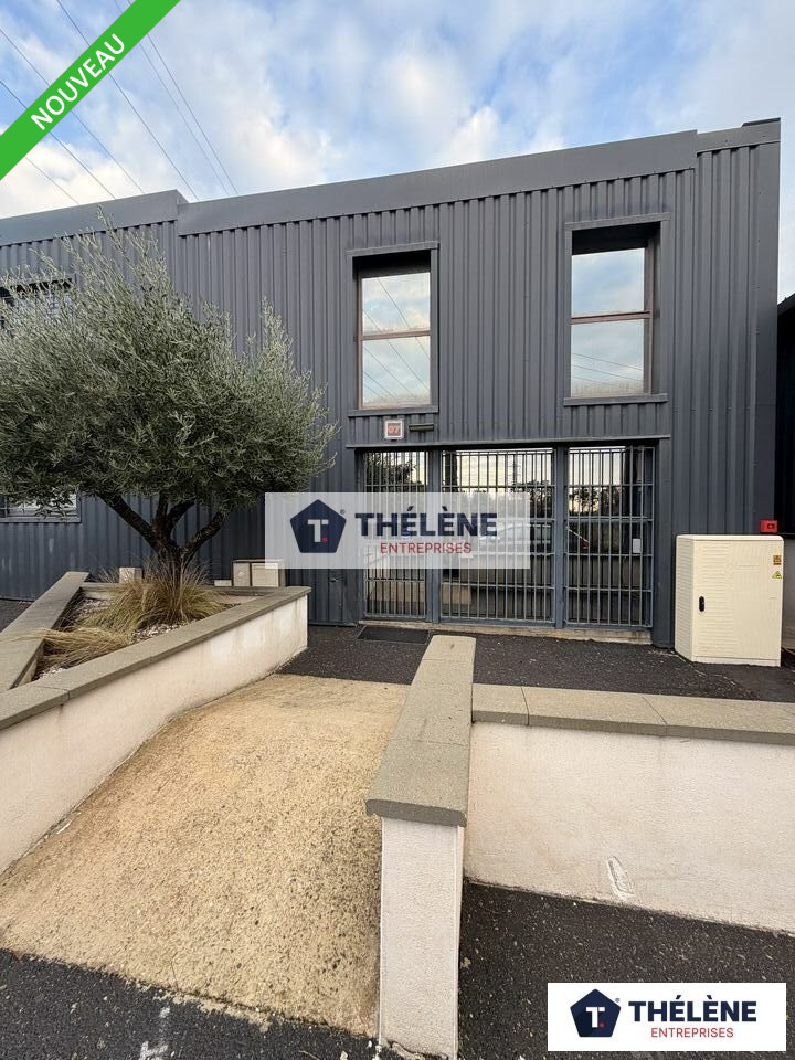 THELENE LOCATION-BUREAUX-SAINT_JEAN_DE_VEDAS-34