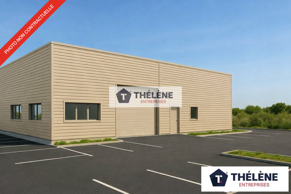 THELENE LOCATION-LOCAL D'ACTIVITE-CASTELNAU-LE-LEZ-34