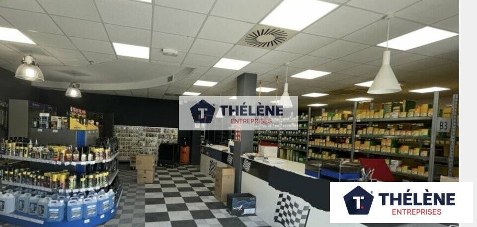 THELENE LOCATION-LOCAL D'ACTIVITE-MONTPELLIER-34