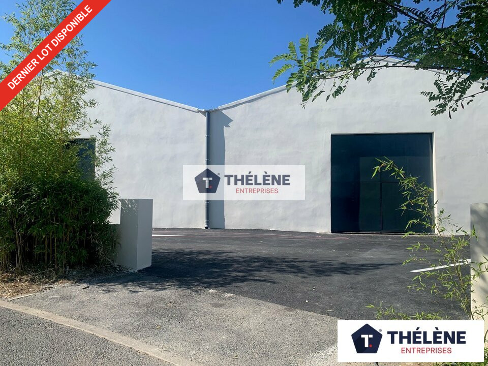 THELENE LOCATION-LOCAL D'ACTIVITE-SAINT_GEORGES_D'ORQUES-34