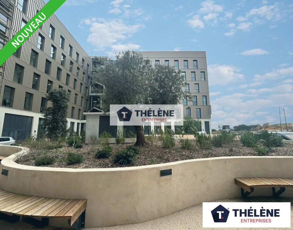 THELENE LOCATION-BUREAUX-MONTPELLIER-34