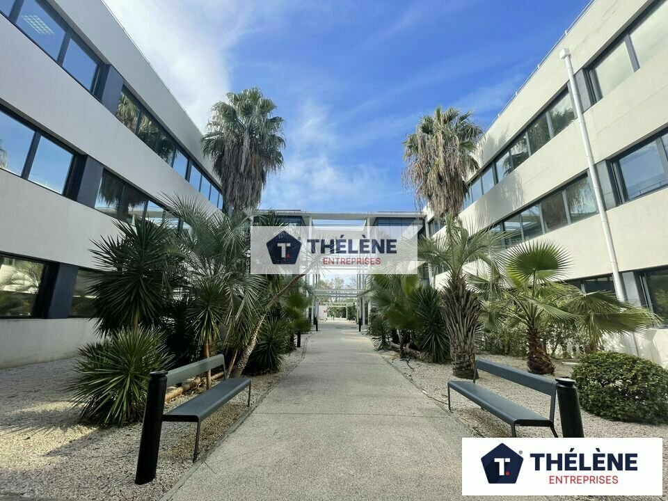 THELENE LOCATION-BUREAUX-PEROLS-34