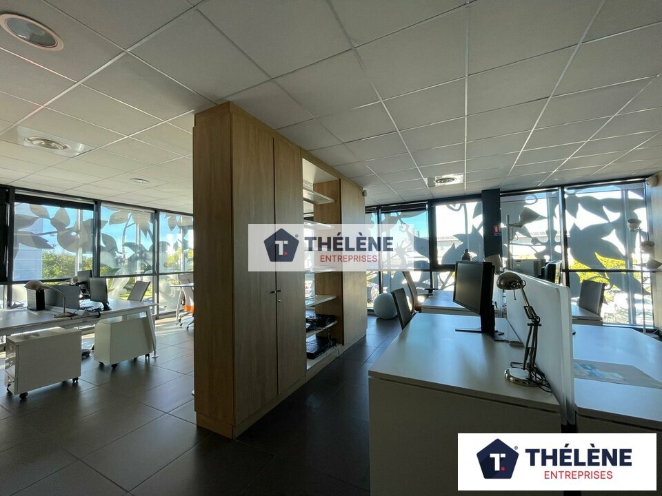 THELENE LOCATION-BUREAUX-CASTELNAU_LE_LEZ-34