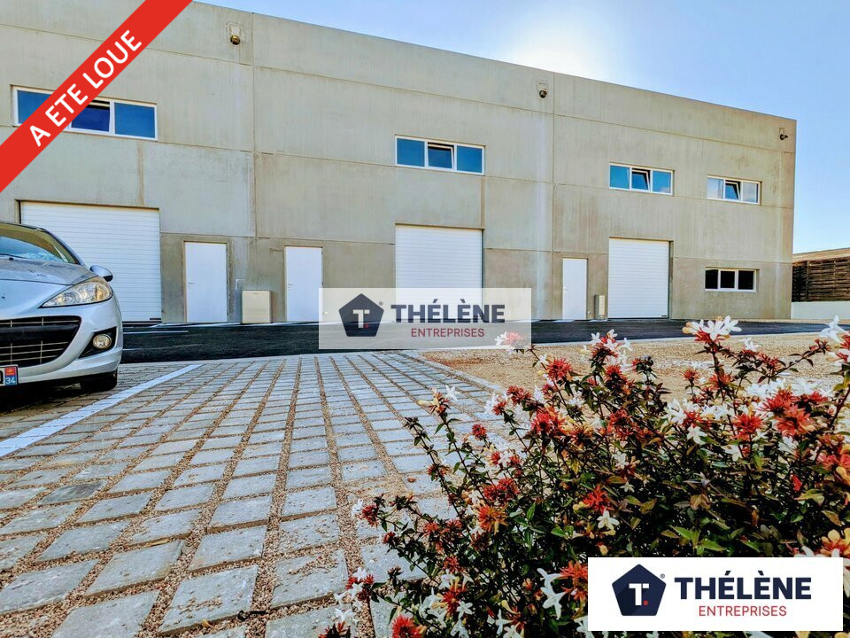THELENE LOCATION-LOCAL D'ACTIVITE-VENDARGUES-34