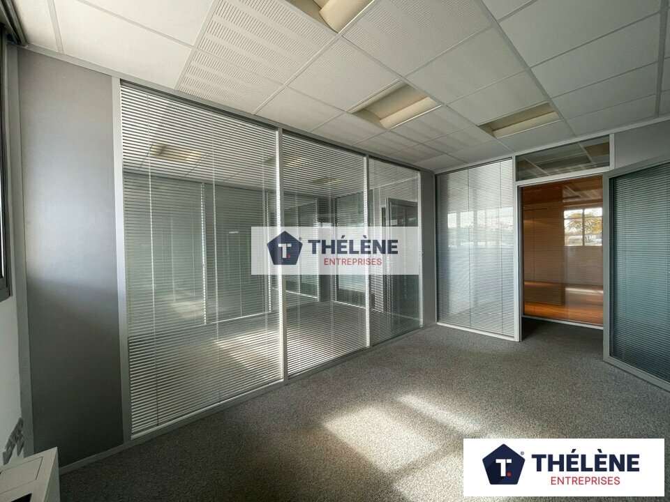 THELENE LOCATION-BUREAUX-CASTELNAU_LE_LEZ-34