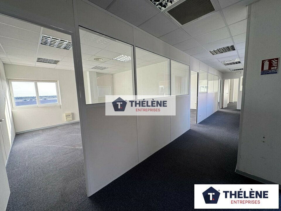 THELENE LOCATION-BUREAUX-MONTPELLIER-34