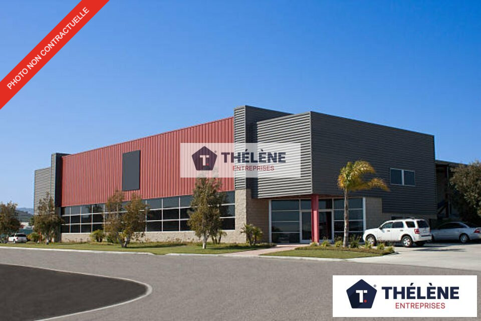 THELENE LOCATION-LOCAL D'ACTIVITE-FRONTIGNAN-34