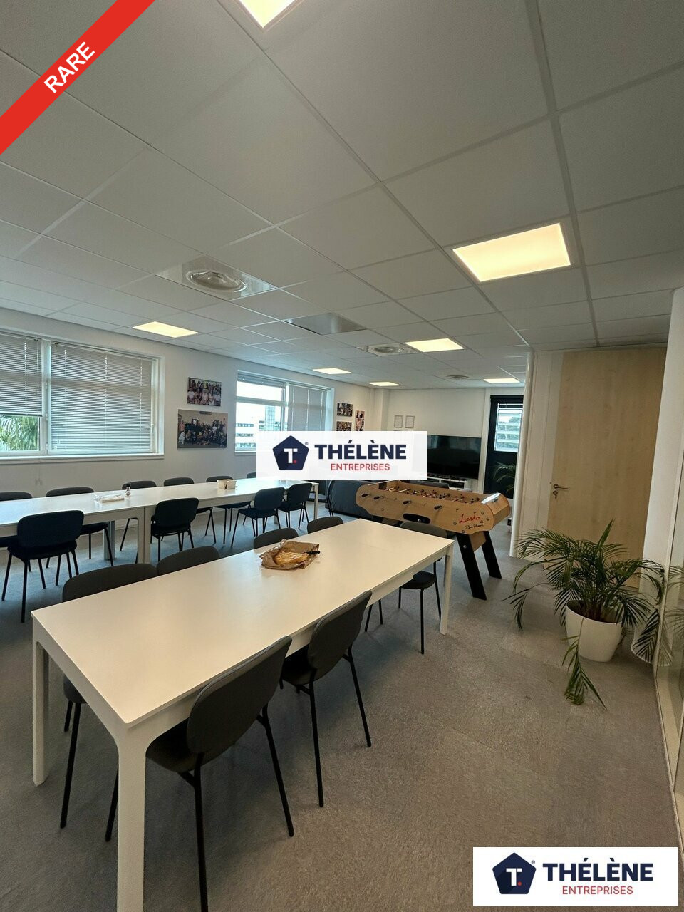 THELENE LOCATION-BUREAUX-MONTPELLIER-34