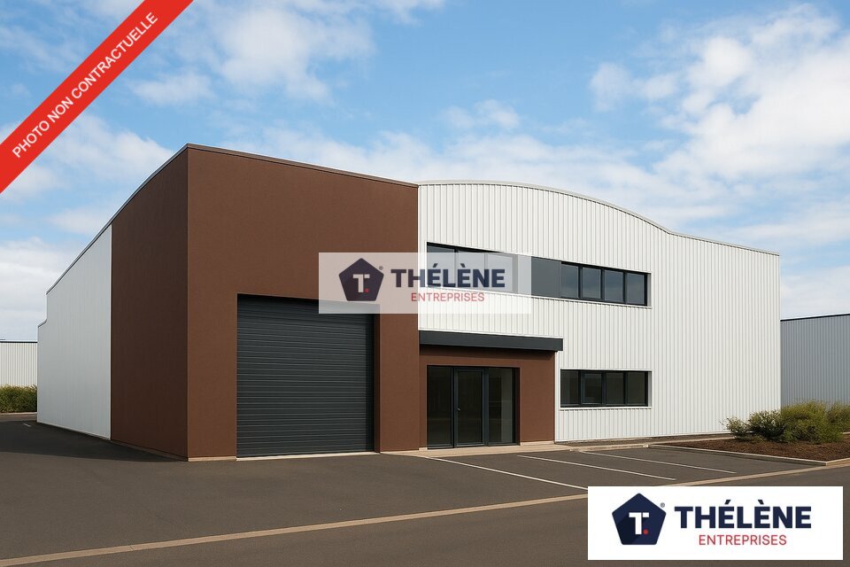 THELENE VENTE-LOCAL D'ACTIVITE-VENDARGUES-34