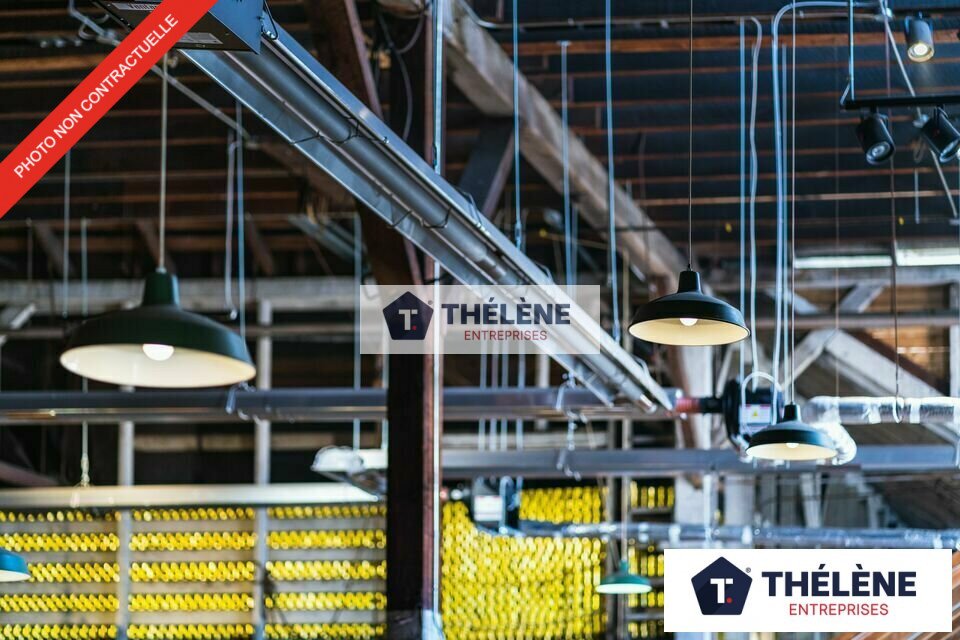THELENE LOCATION-LOCAL D'ACTIVITE-SETE-34